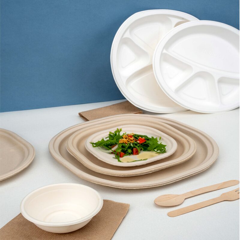 All Bagasse and moulded paper pulp products.