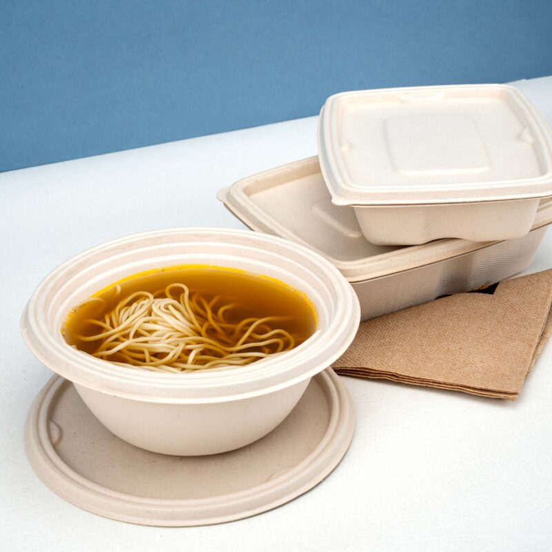 All Bagasse and moulded paper pulp products. - Image 2